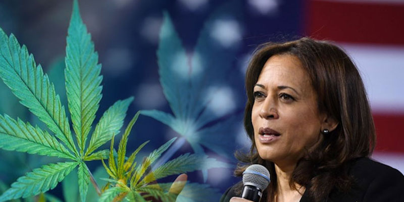 OOPS: Kamala Posted A ‘420’ Message — That Was A MISTAKE